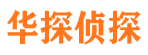 兰西市调查公司